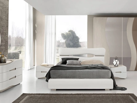 Gruppo Notte Fly di Adriatica